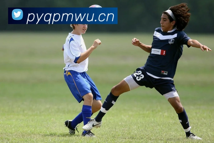 kaiyun网页登录入口发展历程